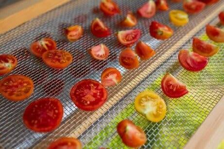 Hvordan kan du lage din egen soltørker for mat?