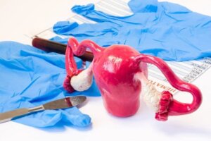 Hysterektomi, fjerning av livmor: De ulike typene