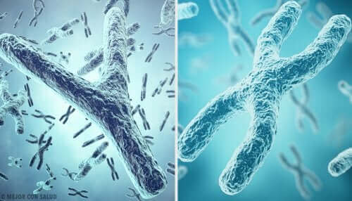 Telomerer er en del av kromosomer. 