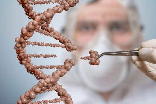 Telomerer er nødvendige for mange prosesser. 