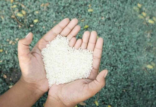 En person som holder ris formet i en hjerteform i hendene