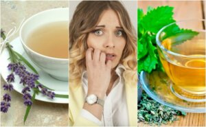 Ro ned nervøsitet med disse 5 urteremediene