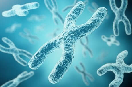 Hvordan skjer inaktiveringsprosessen for X-kromosom?