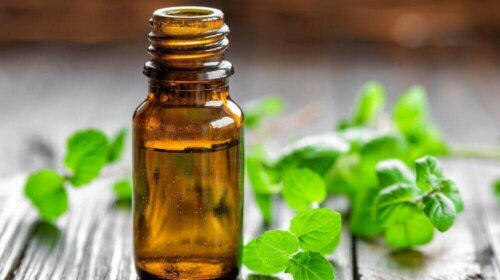 Olje med mynte kan hjelpe deg ned i vekt