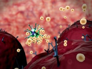 Immunresponsen: En kort oversikt