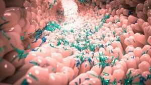 Hva er normal mikrobiota i kroppen vår?