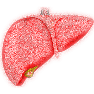 Verdens hepatittdag: Sykdommen kan forhindres