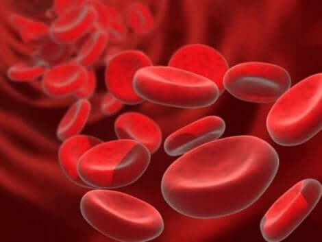 Om du er blodfattig, mangler kroppen røde blodceller. 