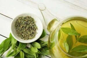 Visste du at grønn te forlenger levetiden?