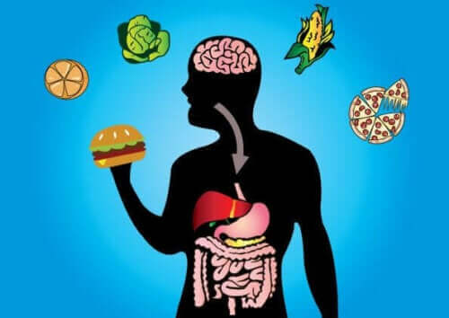 Metabolsk fleksibilitet