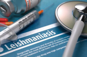 Er leishmaniasis smittsomt?