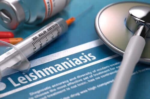 Er leishmaniasis smittsomt?