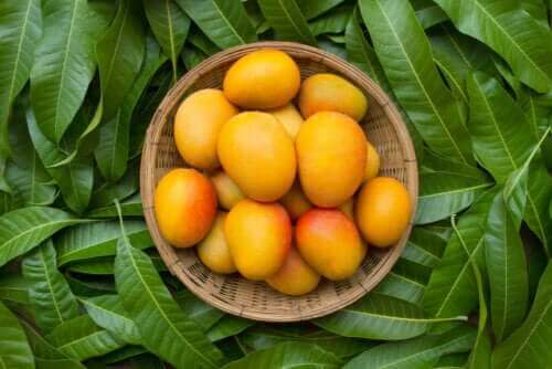 De seks helsemessige fordelene fra mangoblader