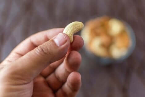 En hånd som holder en cashewnøtt.