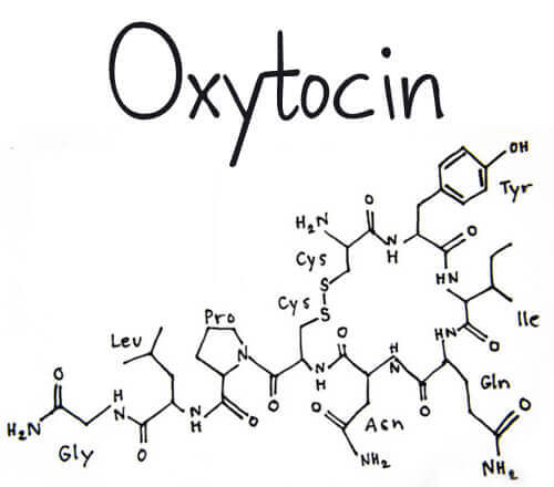 Hva er, og hvilken funksjon har hormonet oksytocin?
