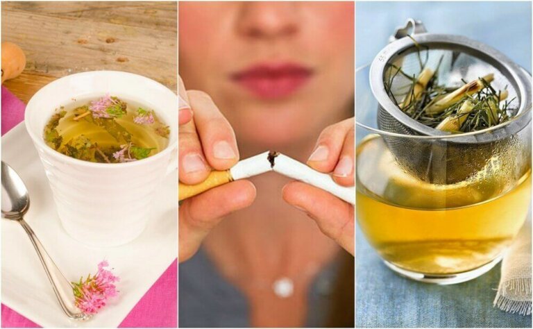 Slik kan du berolige tobakksbegjær med plantebasert te