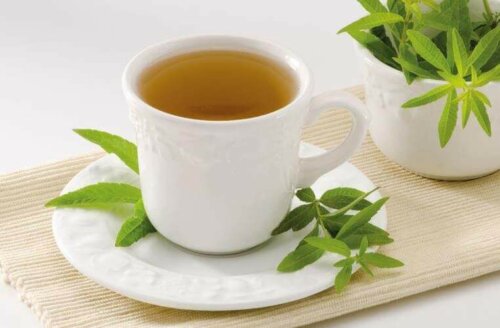 Sitron verbena.