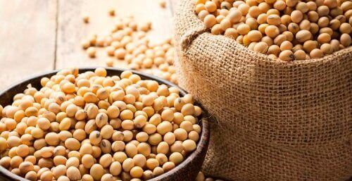 Soyabønnegryte med grønnsaker, oppskrifter rike på proteiner