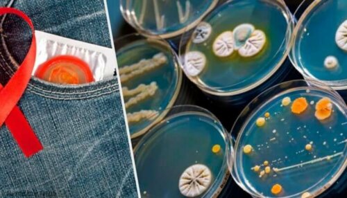 11 seksuelt overførbare sykdommer du trenger å kjenne til