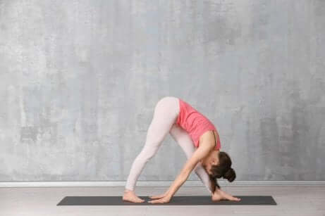 Downward-Facing Dog, eller Adho Mukhva Svanasana