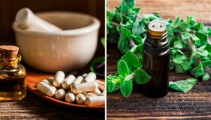 Kjenner du de beste naturlige antibiotika?