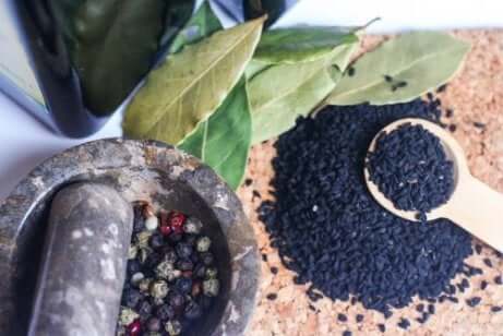 Svart spisskimmen i en mørtel