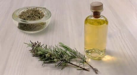 rosmarinolje