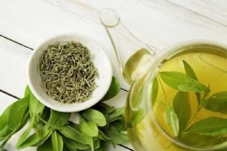 Grønn te er kjent for sine medisinske egenskaper