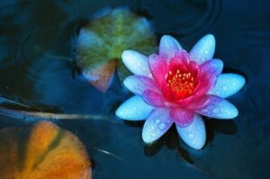 Taoismens fire leveregler for å oppnå indre ro