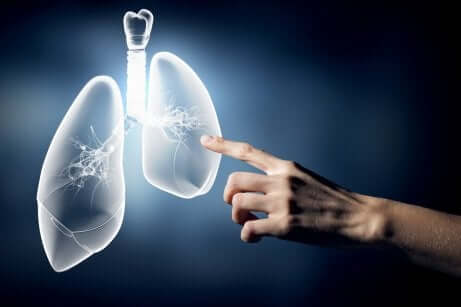 en hånd som berører lungene på en skjerm.