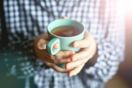 infusjon med melketistel