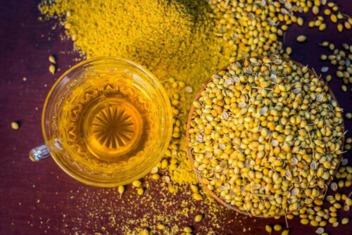 Naturlige remedier, koriander.