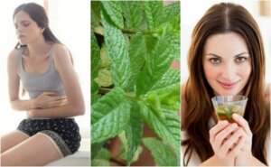 5 hjemmelagde remedier med mynte som du vil elske