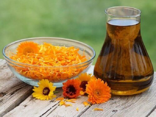 Calendula.