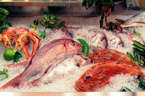 Effektene av kvikksølv i fisk