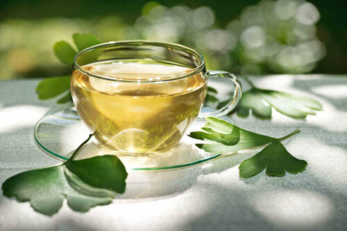 Gingko biloba.