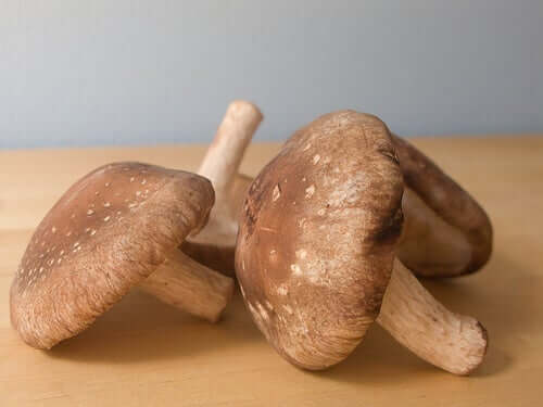 Kreft i eggstokkene og shiitake-sopp.