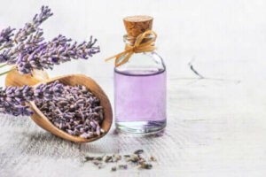 6 gode medisinske planter med vitenskapelige bevis