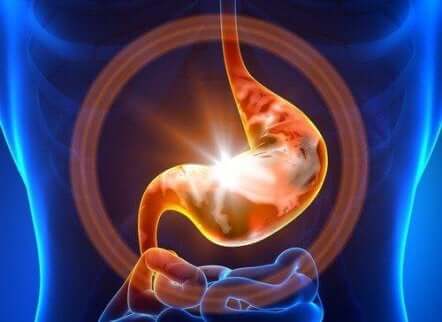 Den første dagen med gastroenteritt