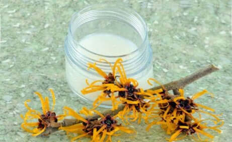 Det populære trollhasselvannet er en naturlig tonic som kan slappe av føttene og bena.