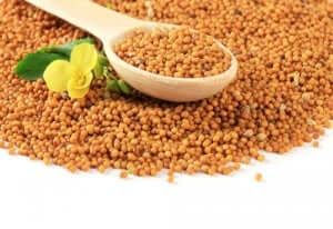 Fire sunne sauser som passer til måltidene dine