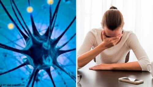 Ni tegn på lave serotoninnivåer