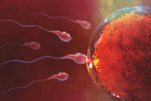 Hvor lang tid tar det å bli gravid etter samleie?