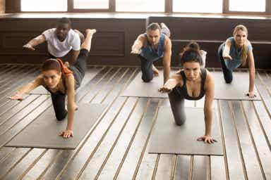 En gruppe voksne som utfører fuglehund-øvelsen i løpet av en treningstime