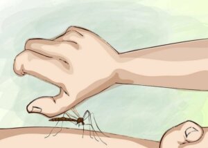 Hvordan kan du unngå myggstikk om natten?