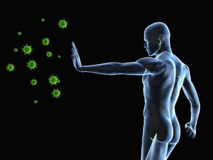 Hvordan virus og immunforsvaret fungerer