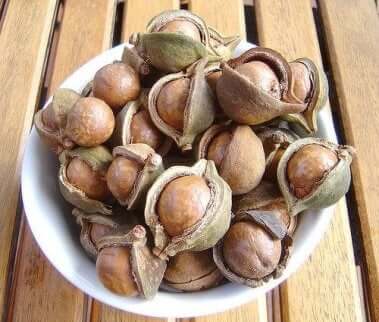 Macadamianøtter inneholder mange næringsstoffer