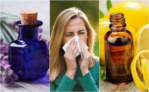 Seks gode eteriske oljer for allergier
