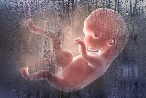 En digital fremstilling av et ufødt foster som flyter i fostervann.