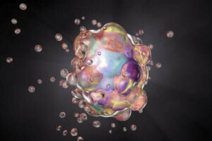 Forskjellene mellom apoptose og nekrose